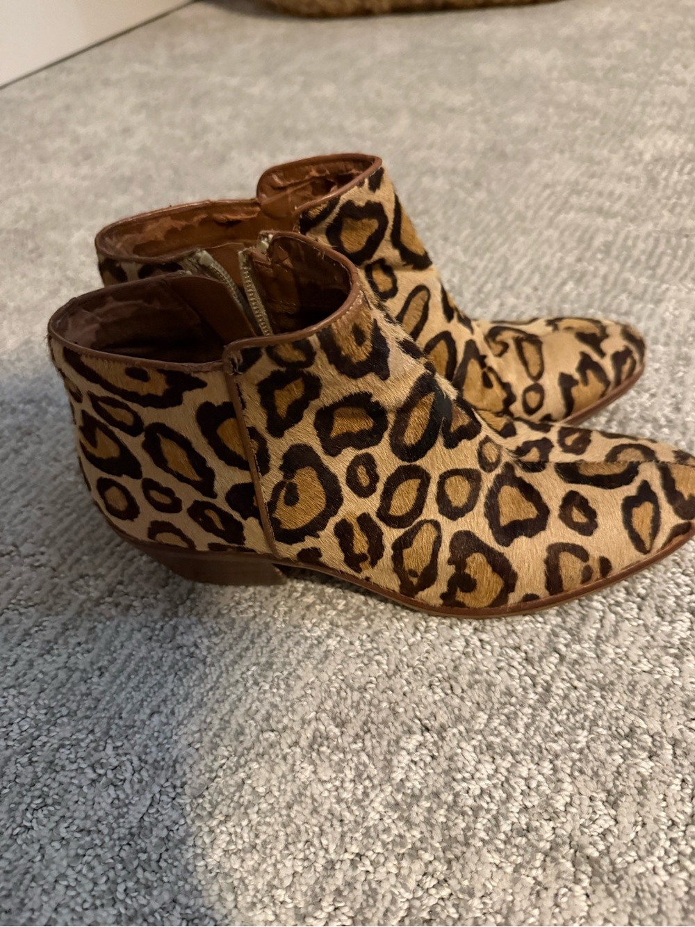 Sam Edelman Leopard Print Pony Hair Ankle Boots in Tan and Black